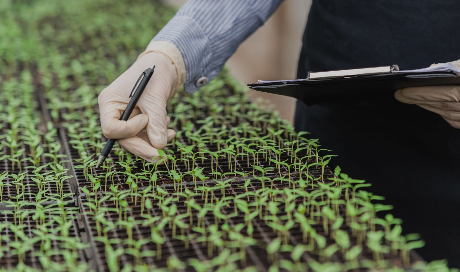 AgriGenomics banner